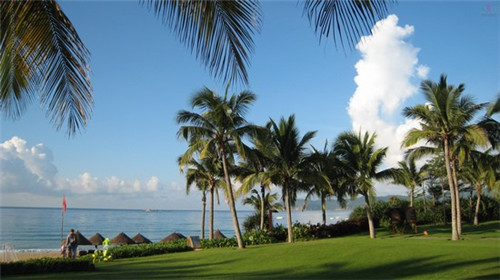 驴先生驴肉养生面