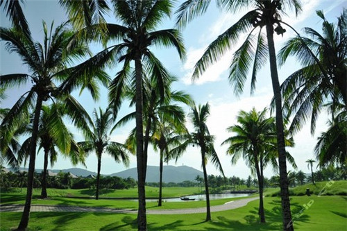 司机安全驾驶仪