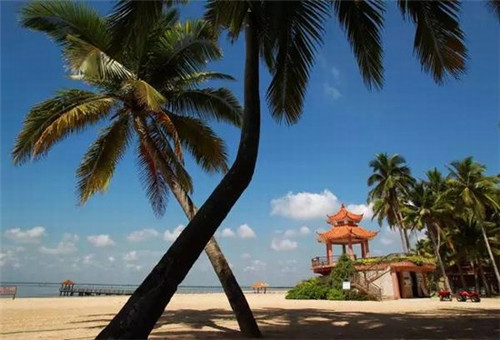 汽车美容连锁店