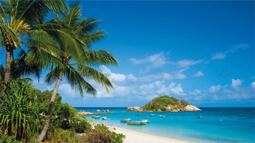 顶峰画室加盟费多少