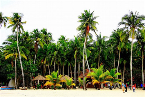 火锅店菜单样本，火锅店菜单收纳方案设计