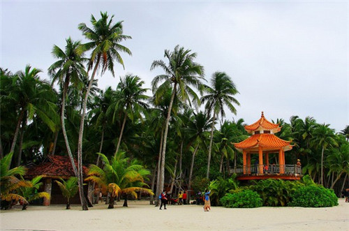 动画美食大挑战图片（美食动画素材）