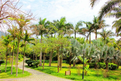 减肥吃炒葱花蛋好吗会胖吗（葱花炒蛋上火吗）